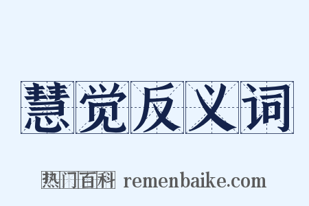 慧觉反义词是什么意思的图片